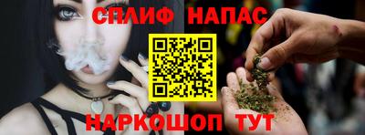 МДПВ Рузаевка