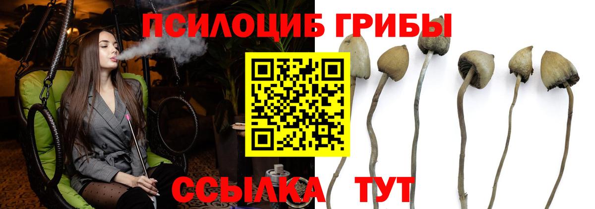 Сатка  Галлюциногенные грибы мухоморы  Галлюциногенные грибы прущие грибы  Вход с VPN 